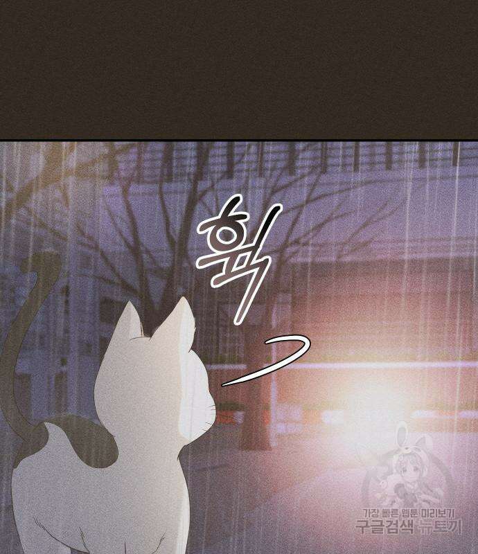 완벽한 결혼의 정석 106화 54