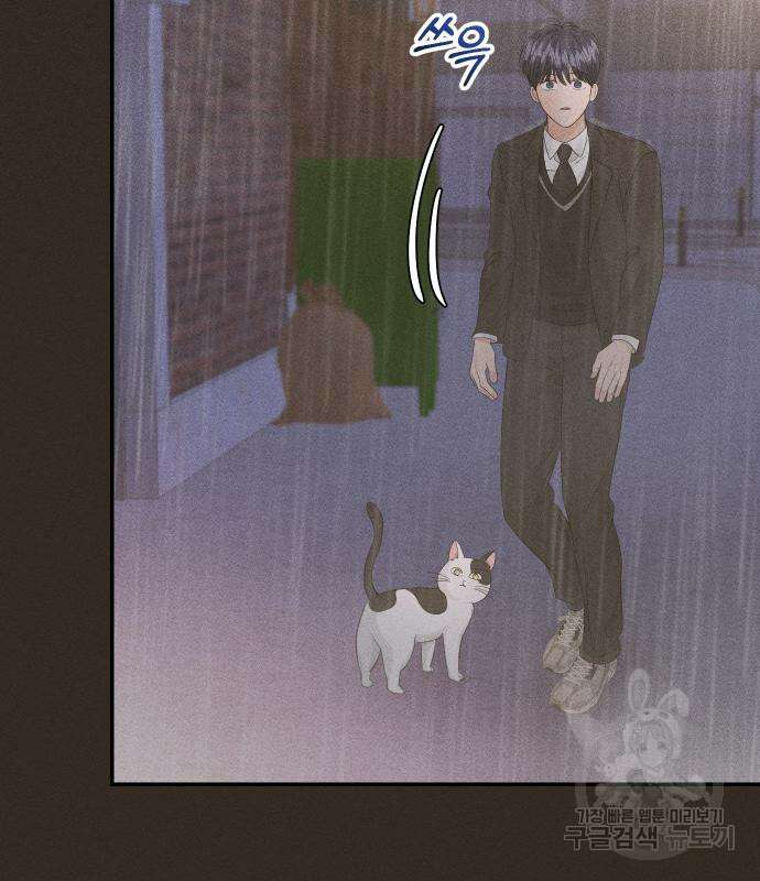 완벽한 결혼의 정석 106화 56