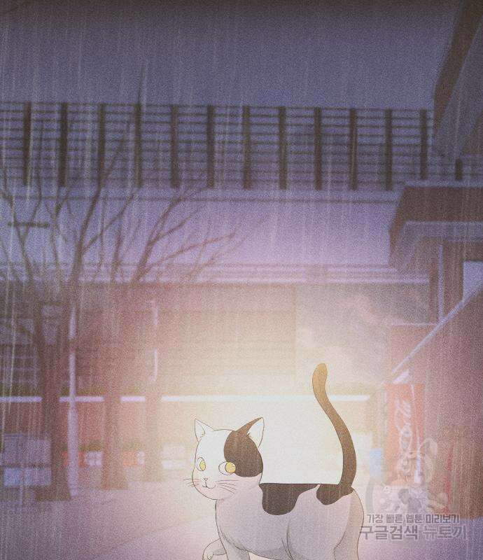 완벽한 결혼의 정석 106화 61