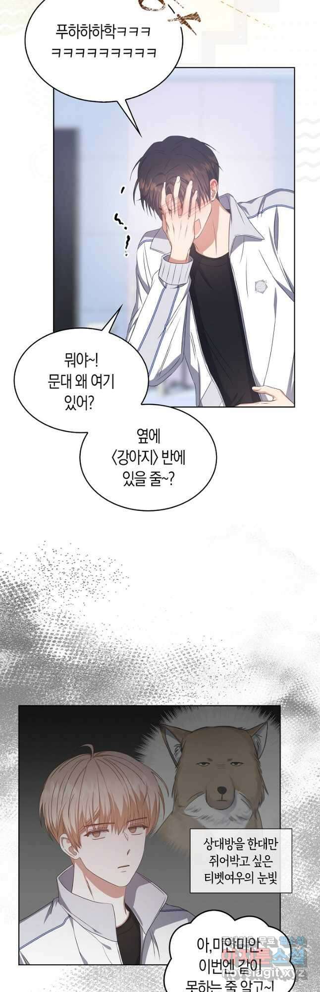 데뷔 못 하면 죽는 병 걸림 39화 11