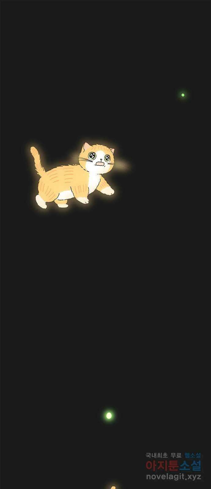고양이 타타 27화 1