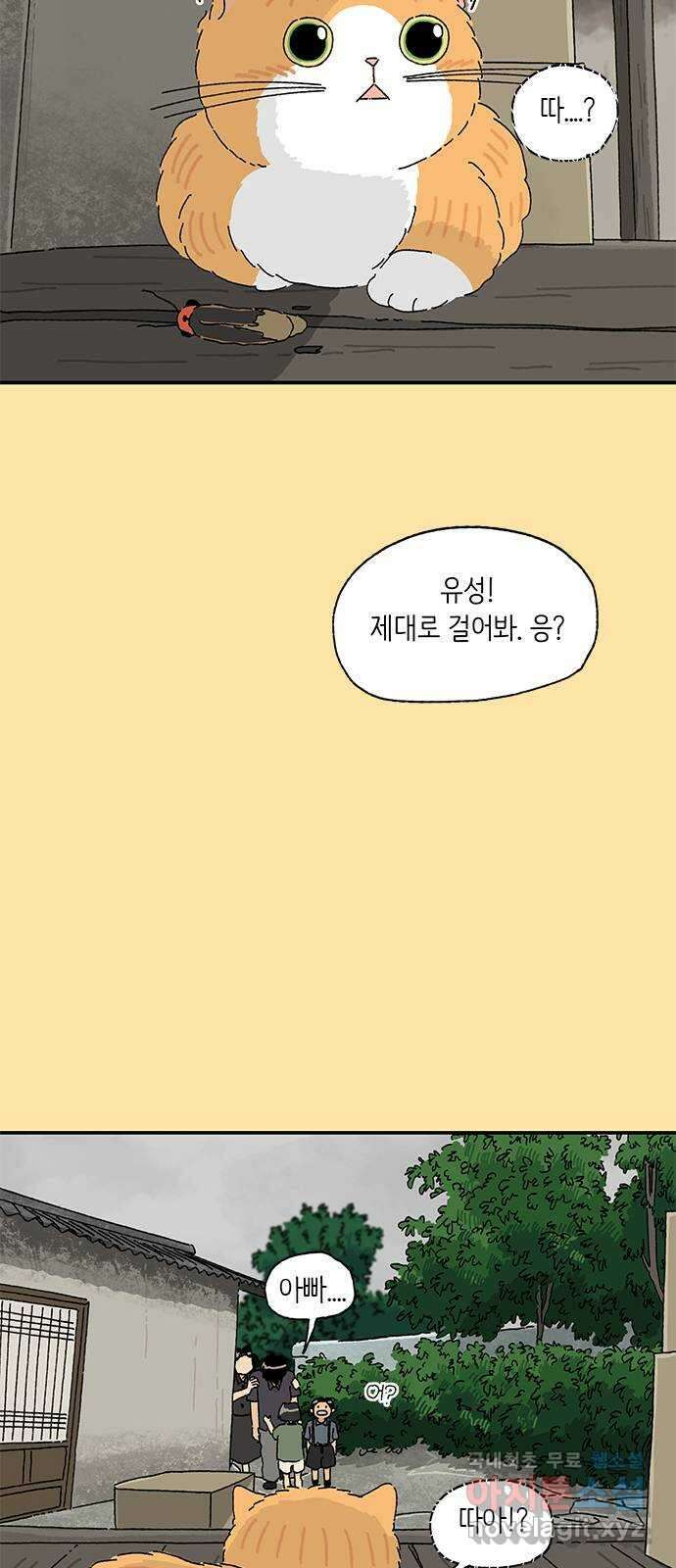 고양이 타타 27화 12