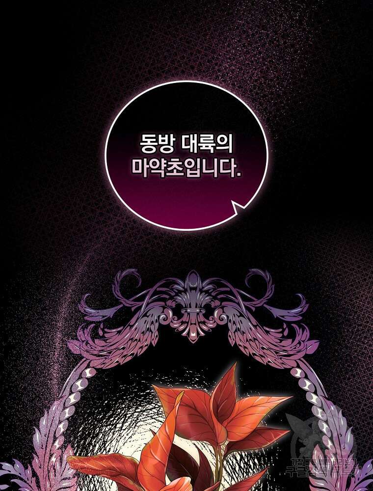 얼음꽃 기사 69화 23