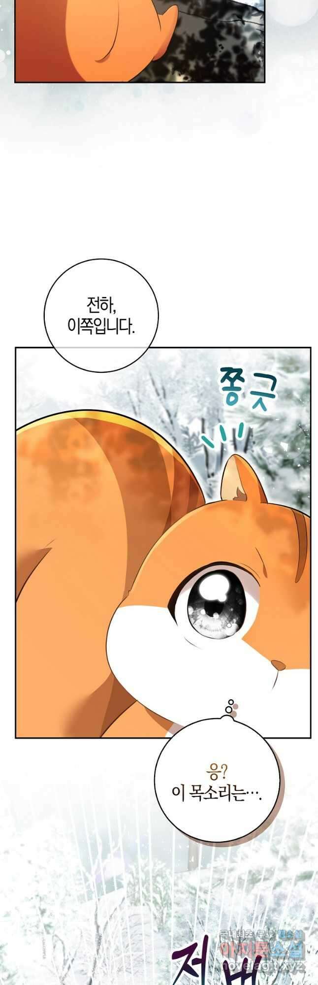 아기 다람쥐가 다 잘해요 48화 29