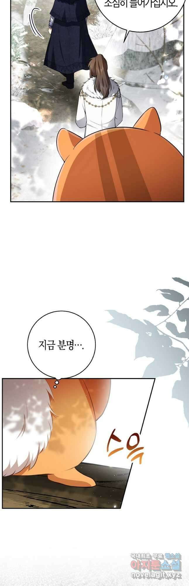 아기 다람쥐가 다 잘해요 48화 47