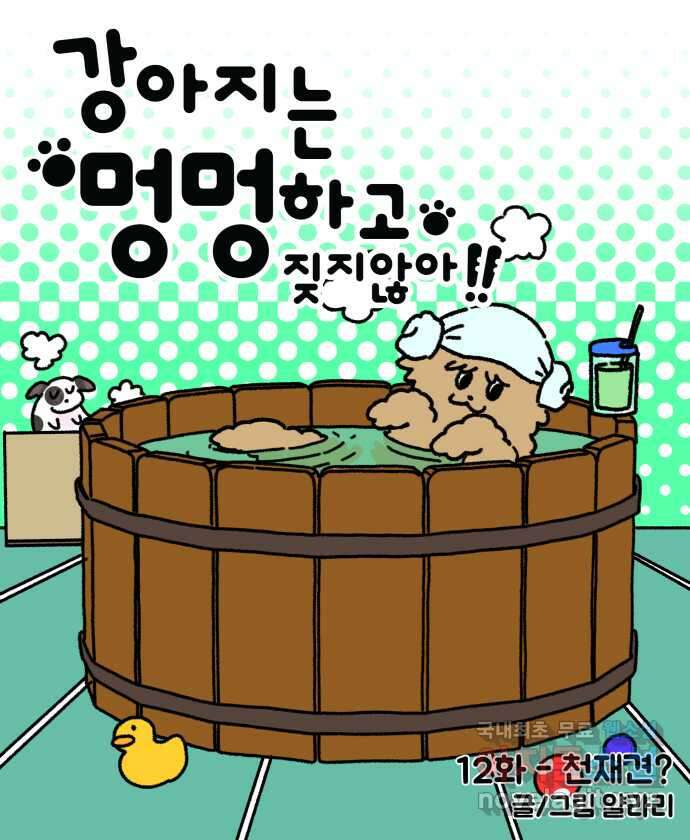 강아지는 멍멍하고 짖지 않아! 12화 - 천재견? 6