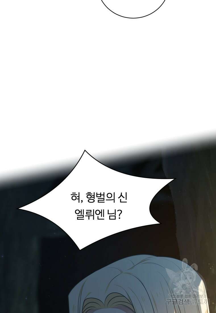 정령왕 엘퀴네스 255화 44