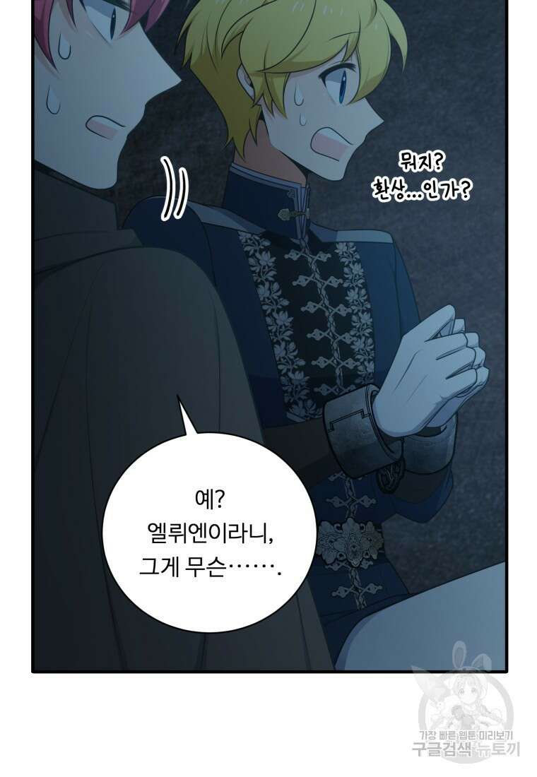 정령왕 엘퀴네스 255화 50