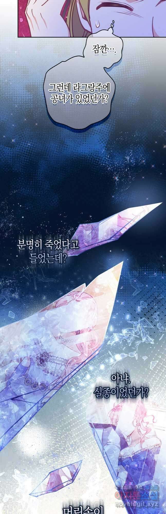 악당 대공님의 귀하디귀한 여동생 109화 8