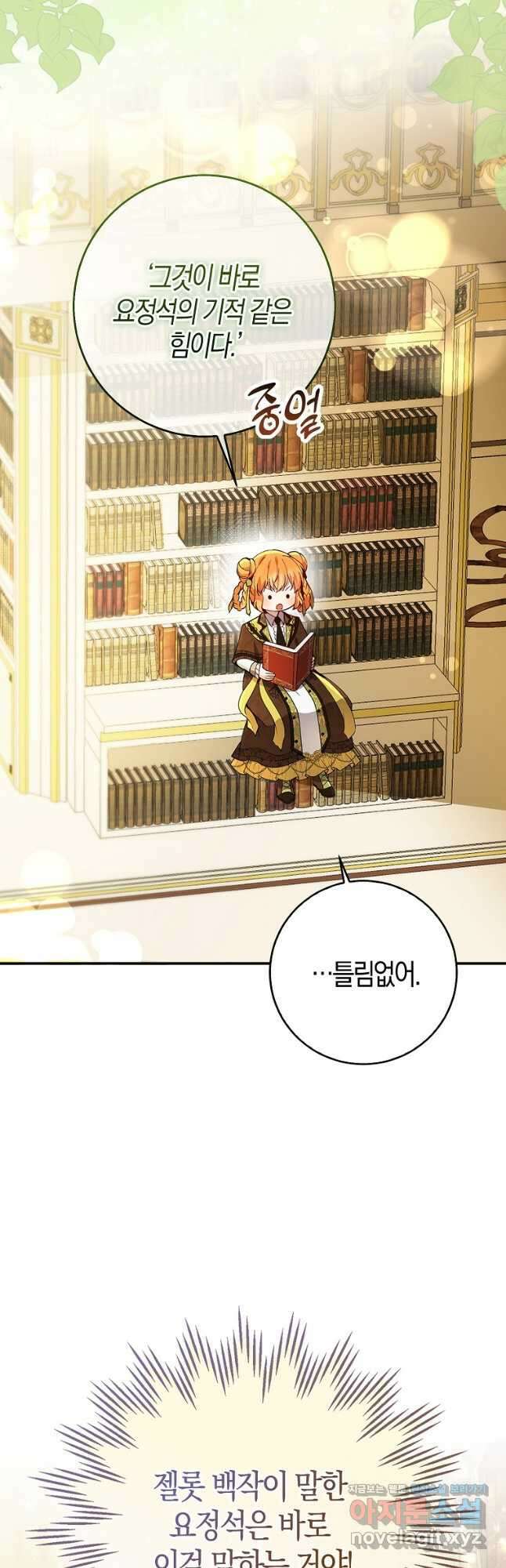 아기 다람쥐가 다 잘해요 49화 3