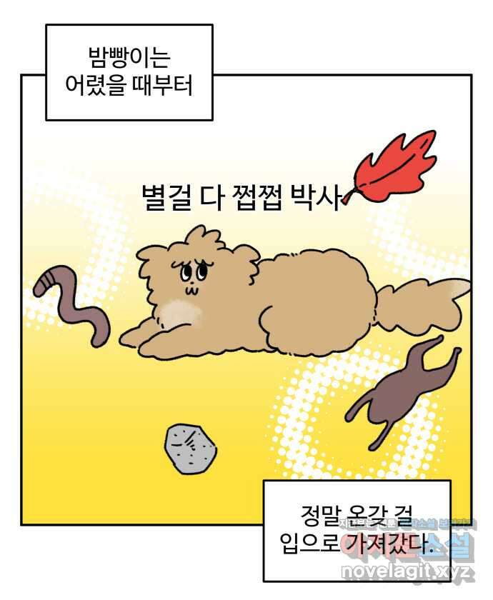 강아지는 멍멍하고 짖지 않아! 23화 - 꽃은 위험해 1