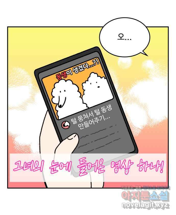 강아지는 멍멍하고 짖지 않아! 24화 - SNS와 강아지 2