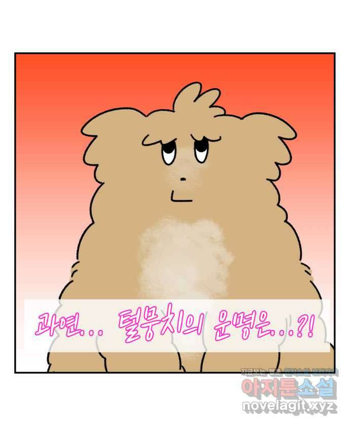 강아지는 멍멍하고 짖지 않아! 24화 - SNS와 강아지 4