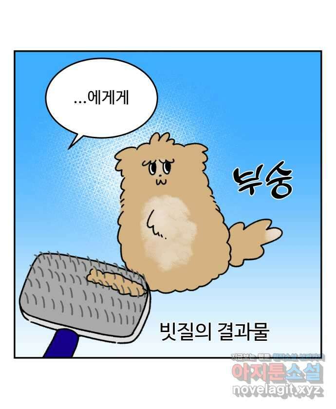 강아지는 멍멍하고 짖지 않아! 24화 - SNS와 강아지 7