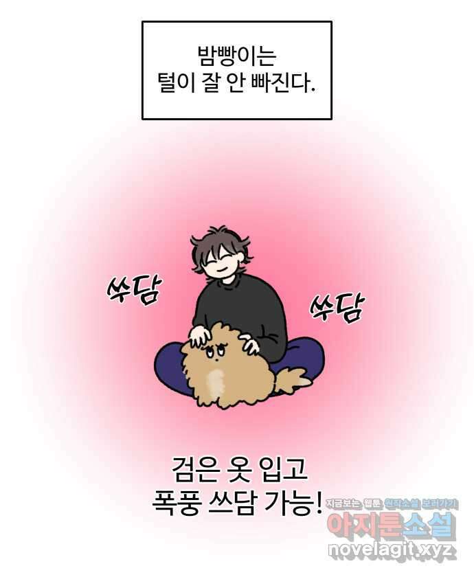 강아지는 멍멍하고 짖지 않아! 24화 - SNS와 강아지 9