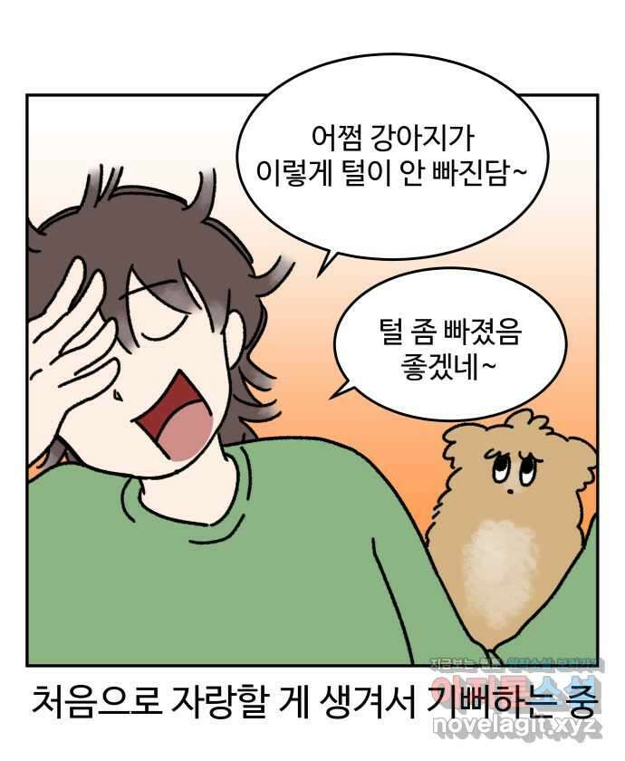 강아지는 멍멍하고 짖지 않아! 24화 - SNS와 강아지 11