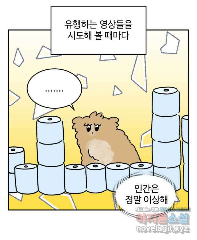 강아지는 멍멍하고 짖지 않아! 24화 - SNS와 강아지 19