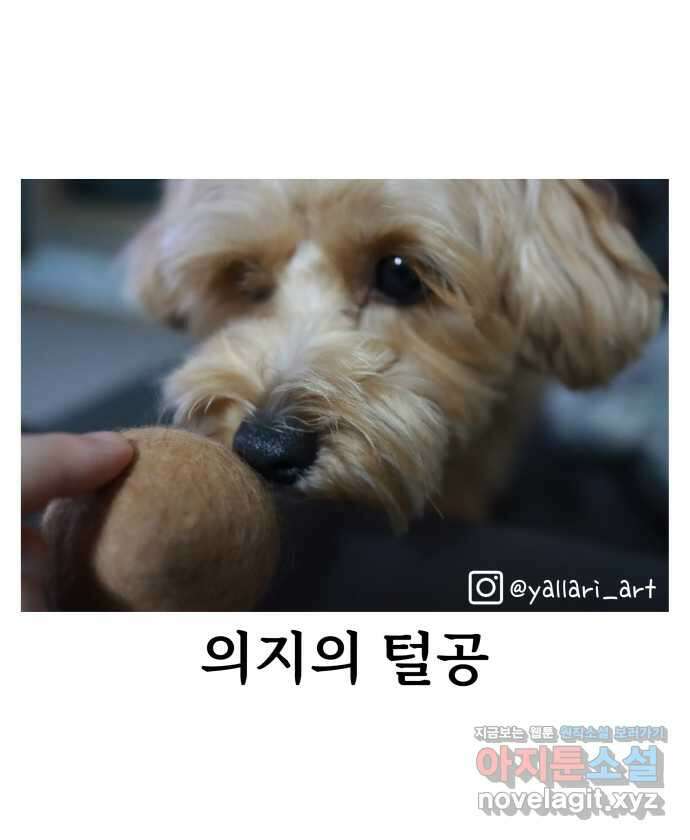 강아지는 멍멍하고 짖지 않아! 24화 - SNS와 강아지 26