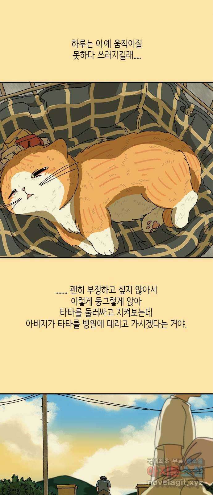 고양이 타타 35화 11