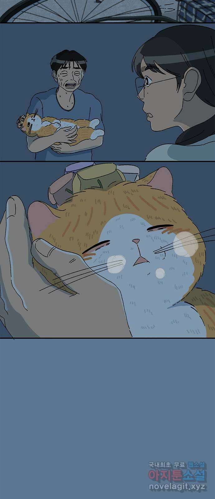 고양이 타타 35화 20