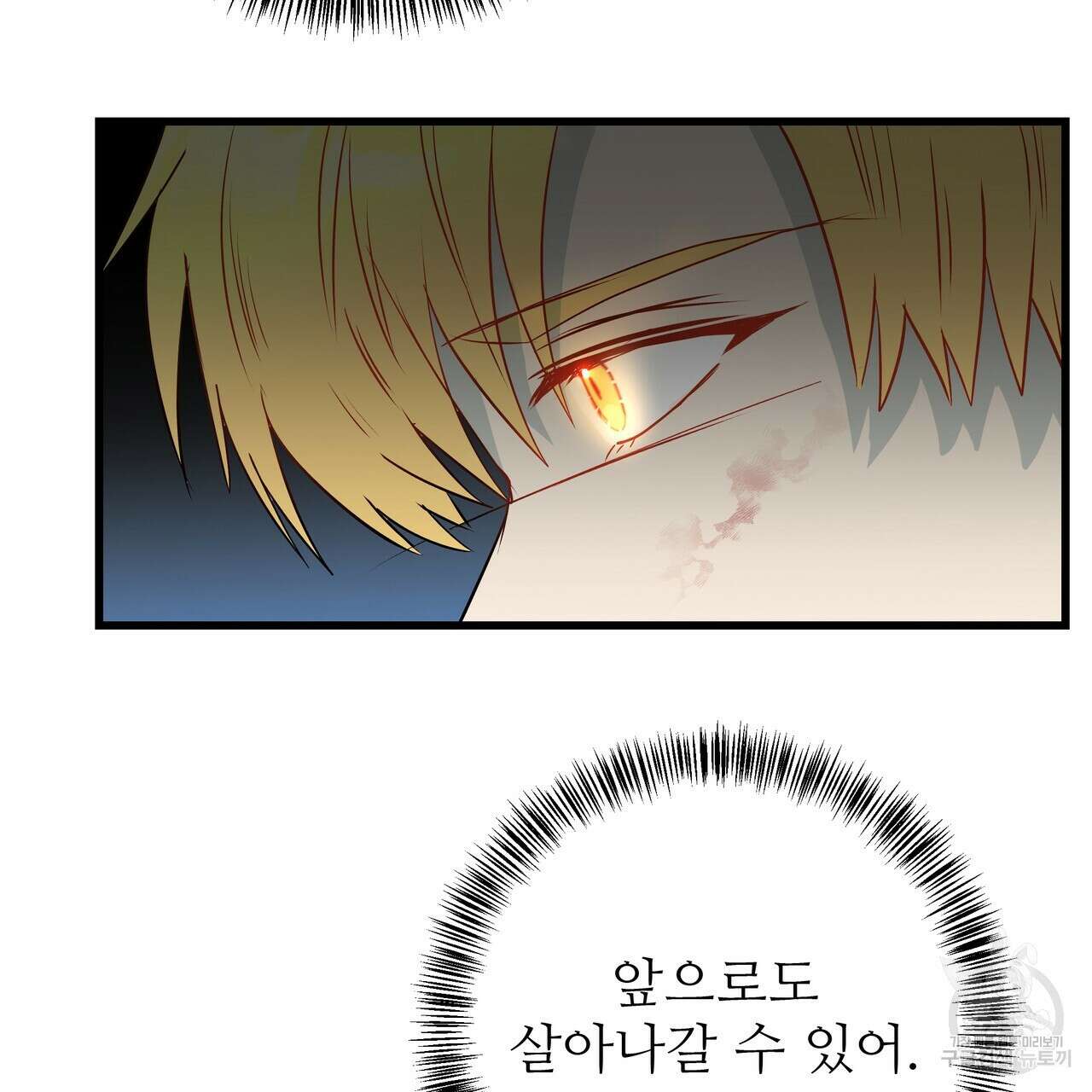 황제의 약혼녀로 산다는 것은 118화 75