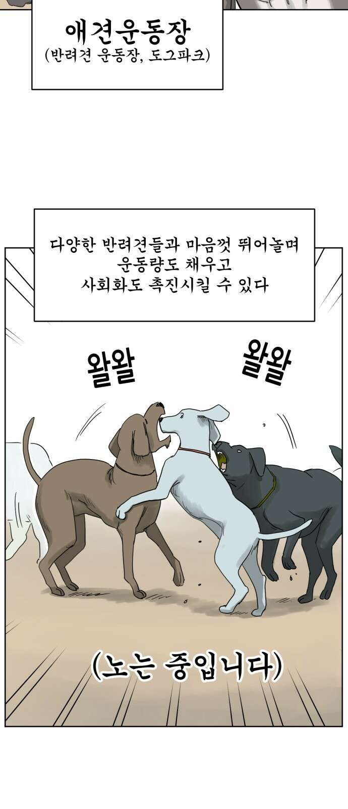 괴양이 12화 친구사귀기 下 5