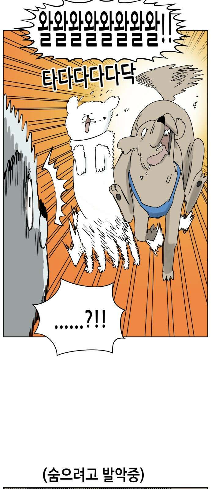 괴양이 12화 친구사귀기 下 8