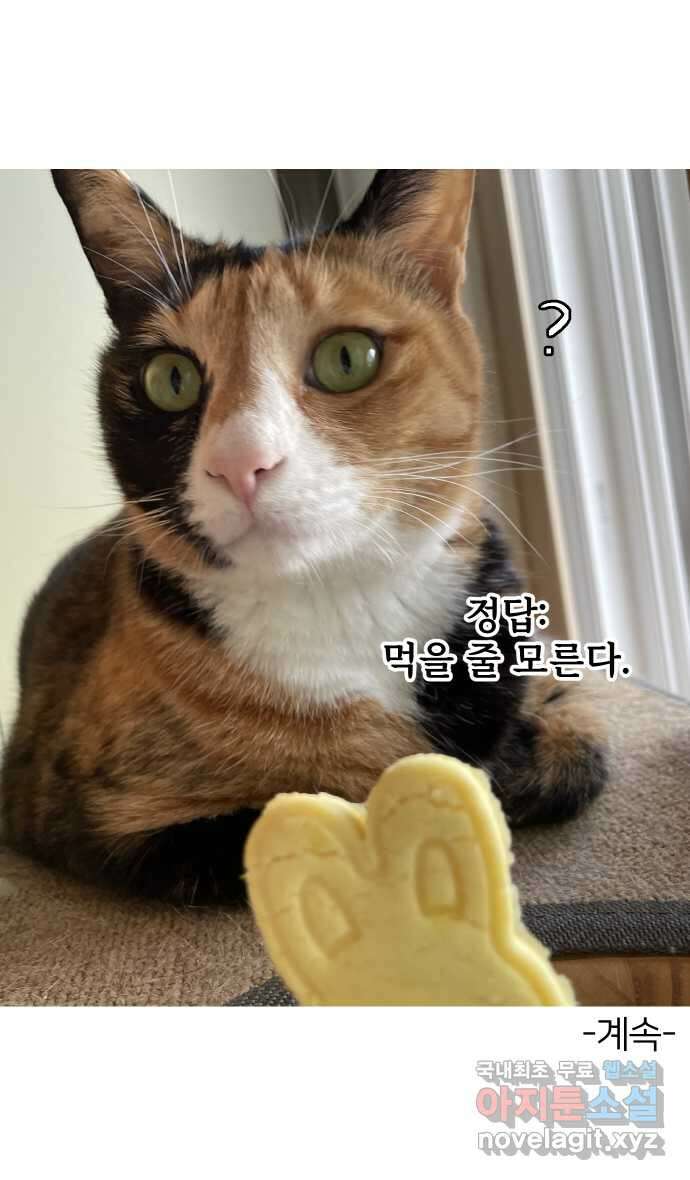 애옹식당 93화 악어의 꿈 45