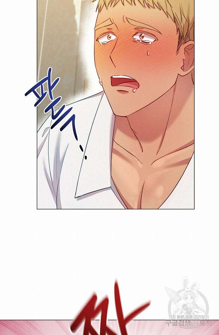 19금 로판에 친구와 빙의될 확률 5화 16