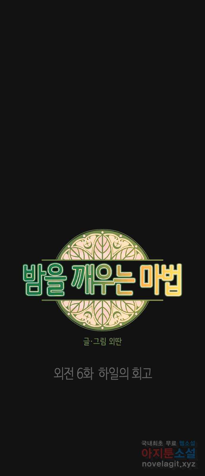 밤을 깨우는 마법 외전 6화 하일의 회고 13