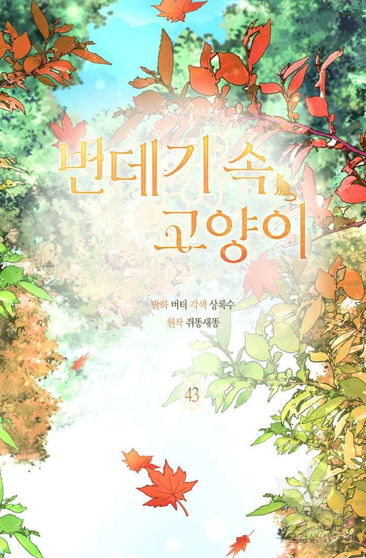 번데기 속 고양이 43화 18