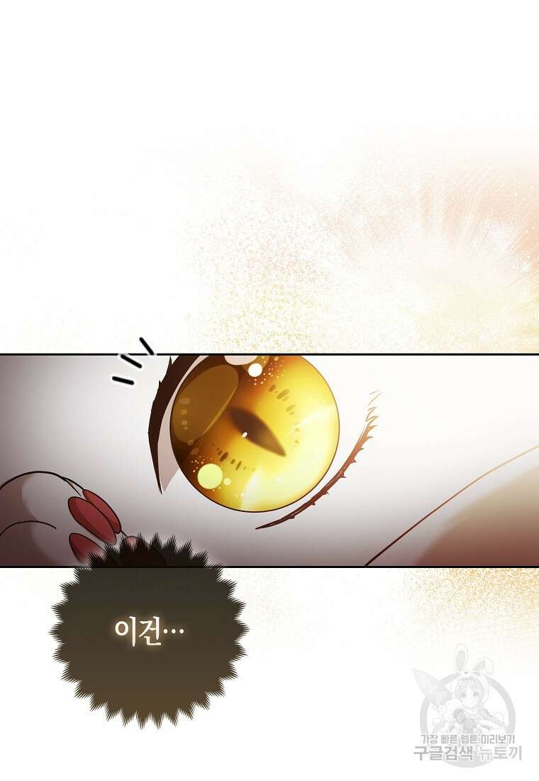 대공가의 여우 황녀님 18화 34