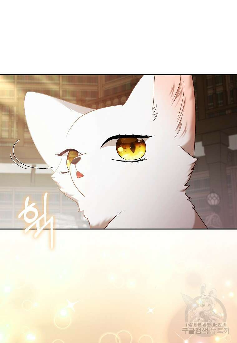대공가의 여우 황녀님 18화 45
