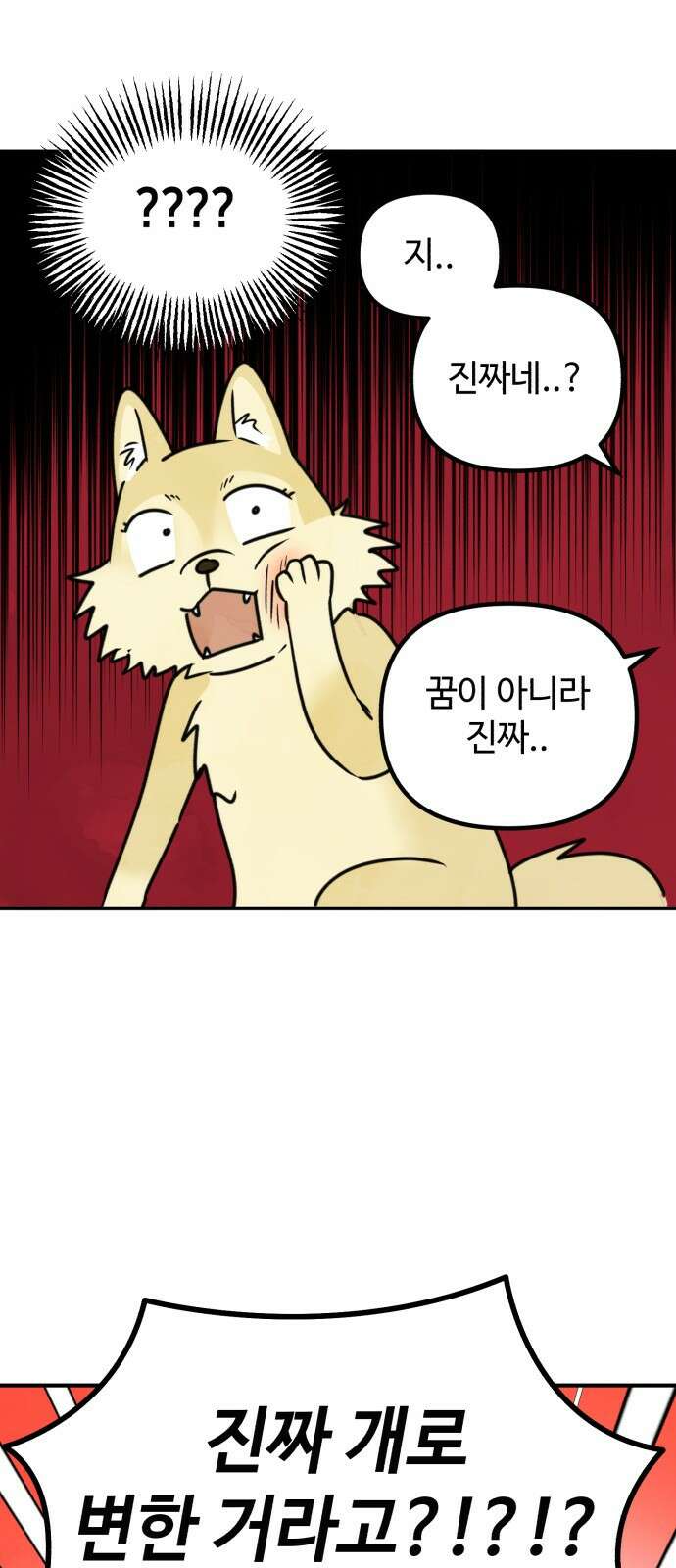 날 먹는 건 금지양! 5화 들켰다! 14
