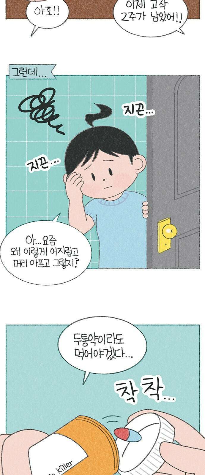 마님이네 미국 시골집 이야기 22화 진통제 3