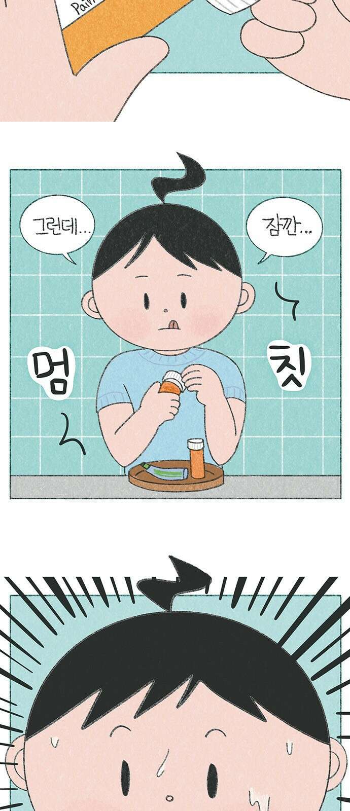 마님이네 미국 시골집 이야기 22화 진통제 4