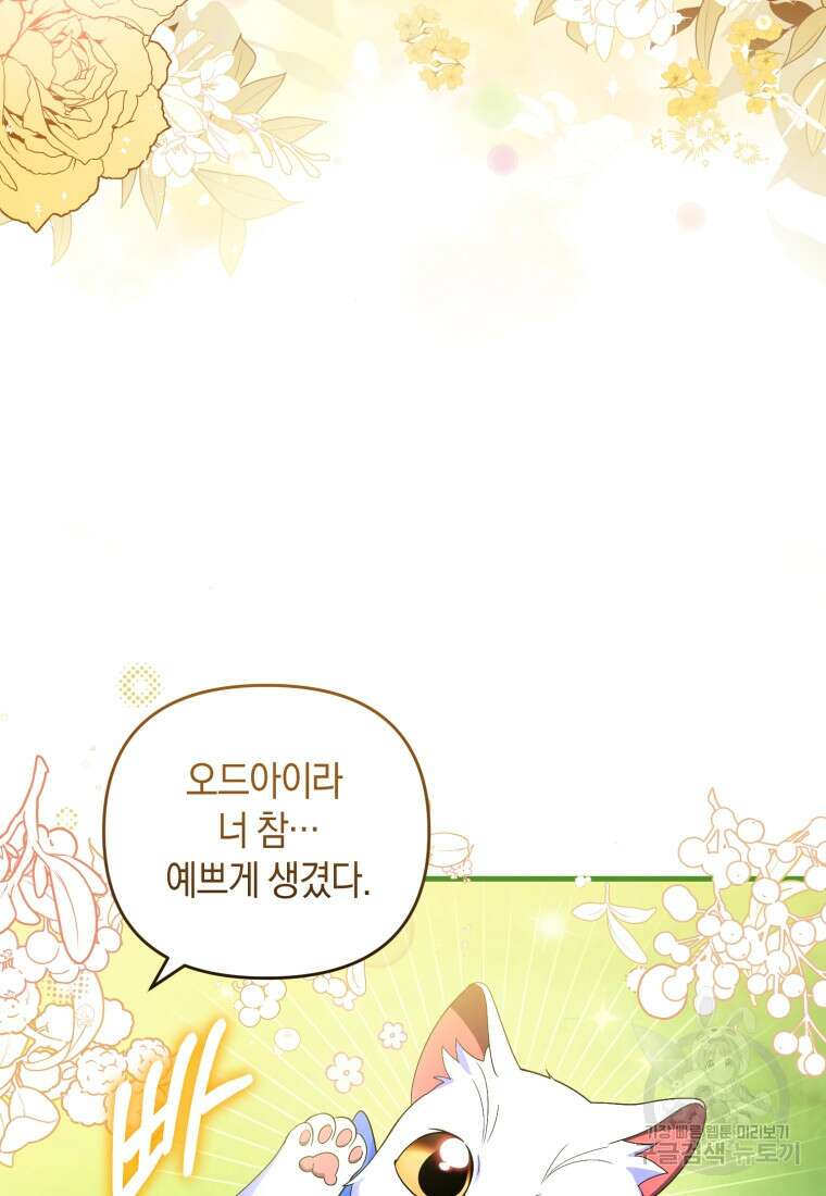 술탄의 귀한 고양이가 되었습니다 8화 3