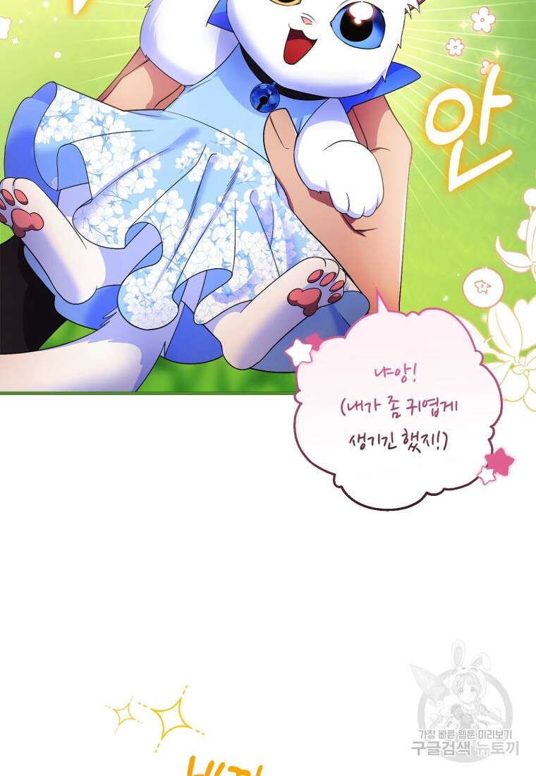 술탄의 귀한 고양이가 되었습니다 8화 4