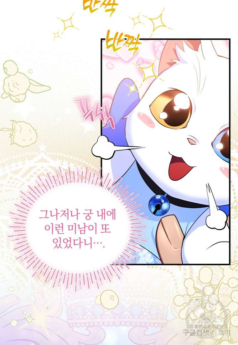 술탄의 귀한 고양이가 되었습니다 8화 5