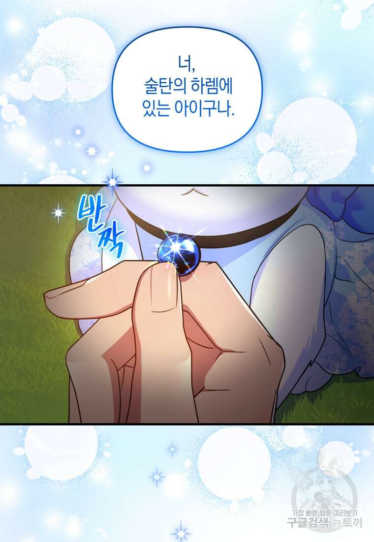 술탄의 귀한 고양이가 되었습니다 8화 11