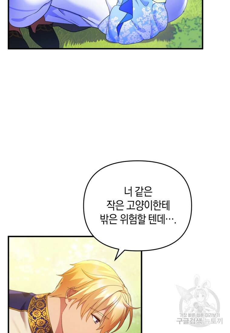 술탄의 귀한 고양이가 되었습니다 8화 13