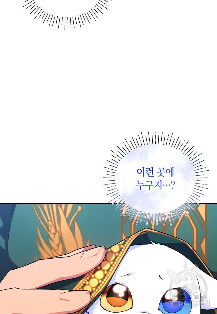 술탄의 귀한 고양이가 되었습니다 15화 5