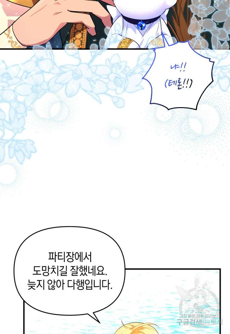 술탄의 귀한 고양이가 되었습니다 15화 8