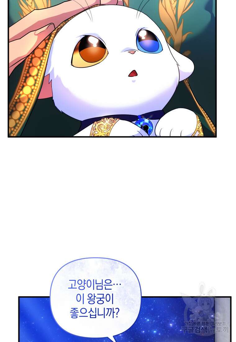 술탄의 귀한 고양이가 되었습니다 15화 12