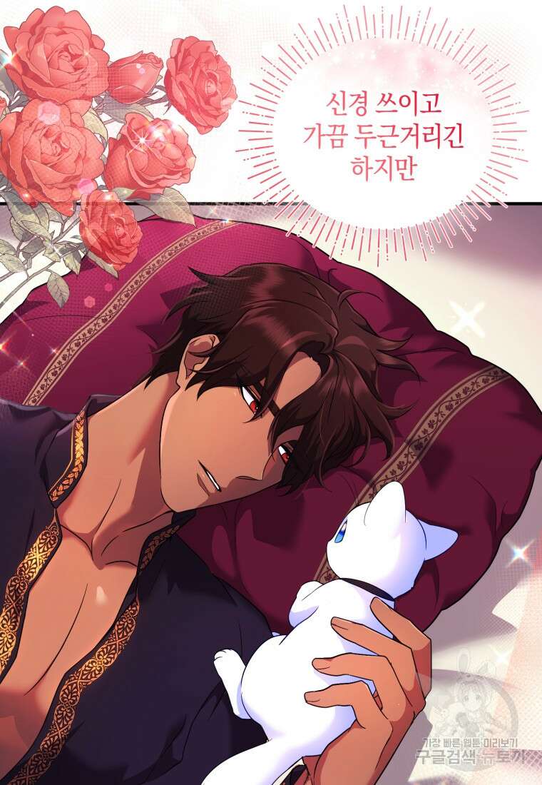 술탄의 귀한 고양이가 되었습니다 15화 17