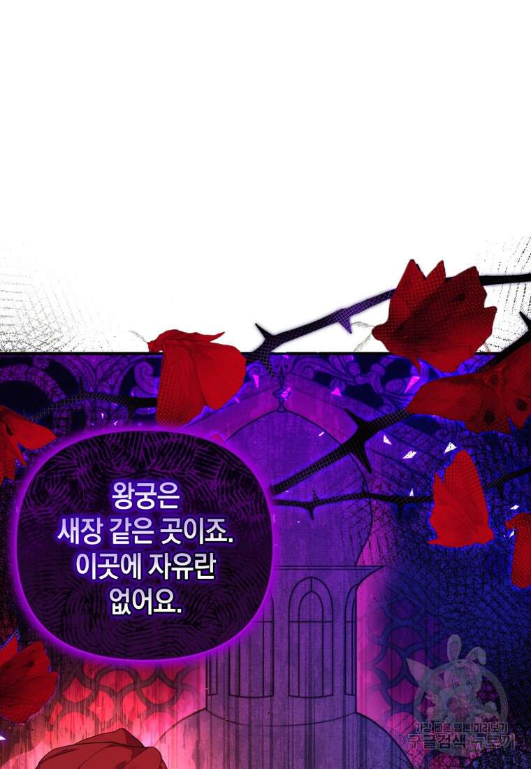 술탄의 귀한 고양이가 되었습니다 15화 20