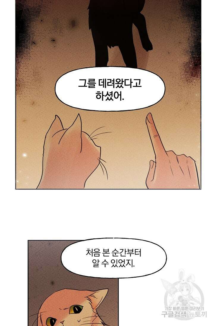 골판지 상자 안 고양이씨 시즌2 5화 24