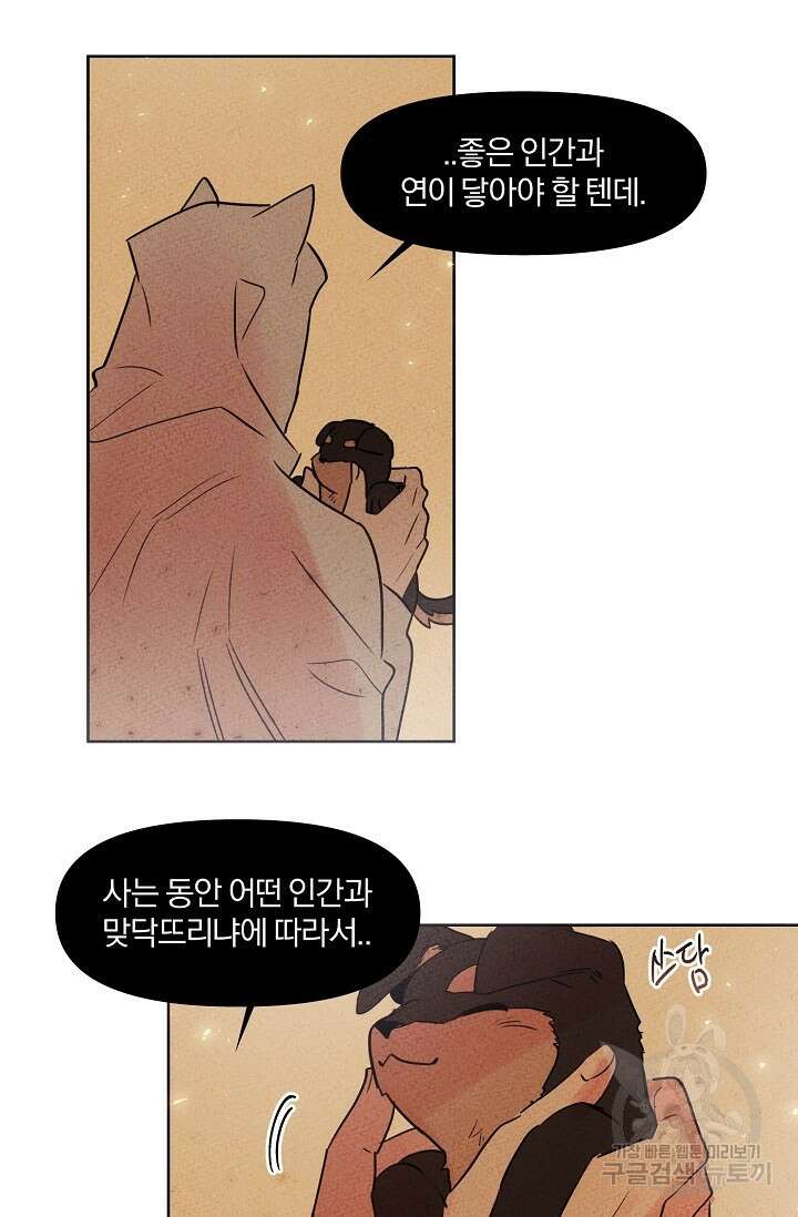 골판지 상자 안 고양이씨 시즌2 5화 28