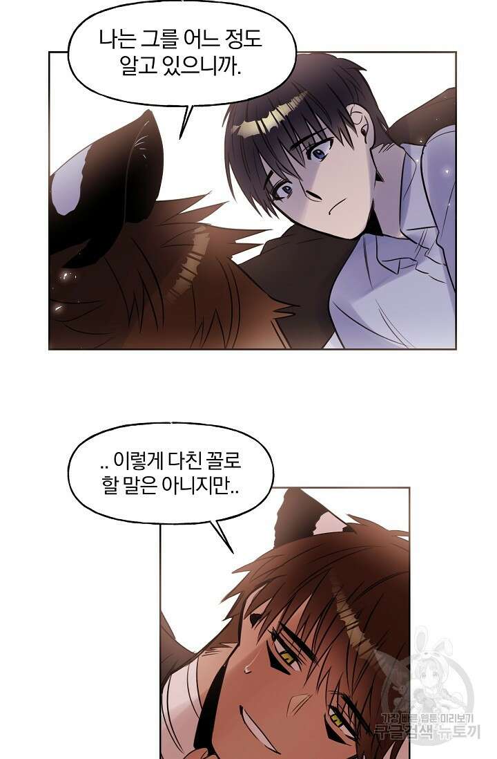 골판지 상자 안 고양이씨 시즌2 12화 11