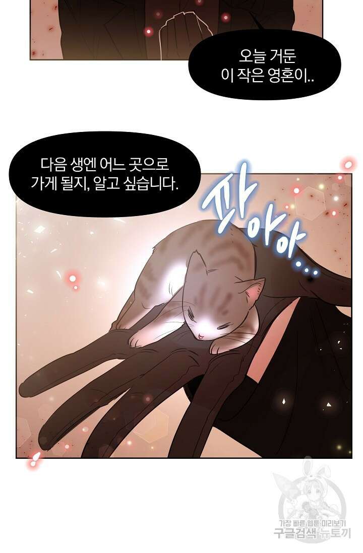 골판지 상자 안 고양이씨 시즌2 12화 17